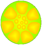 wendys pan drawing.gif (48839 bytes)